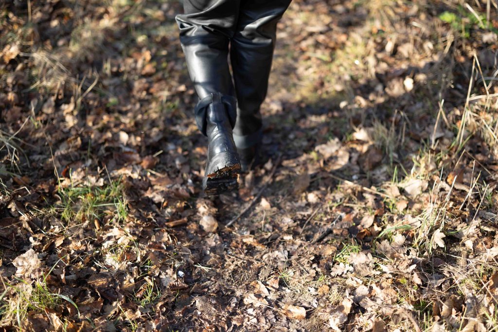 Branding Photography Session South Downs